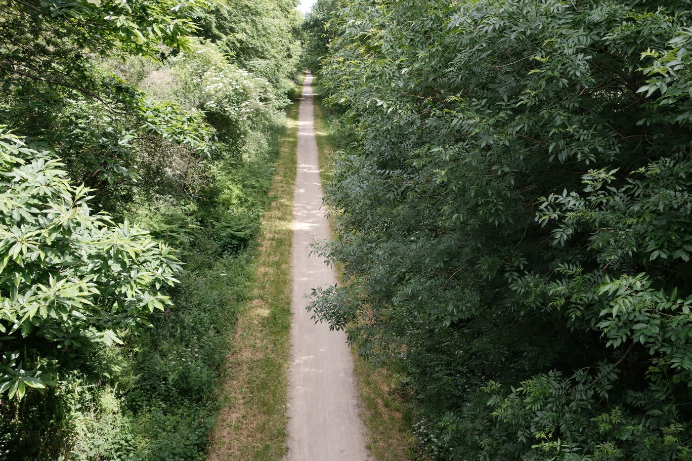 A quiet paved greenway trail running through green Middle-Tennessee woodland